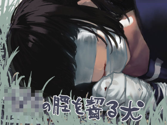 メイン画像